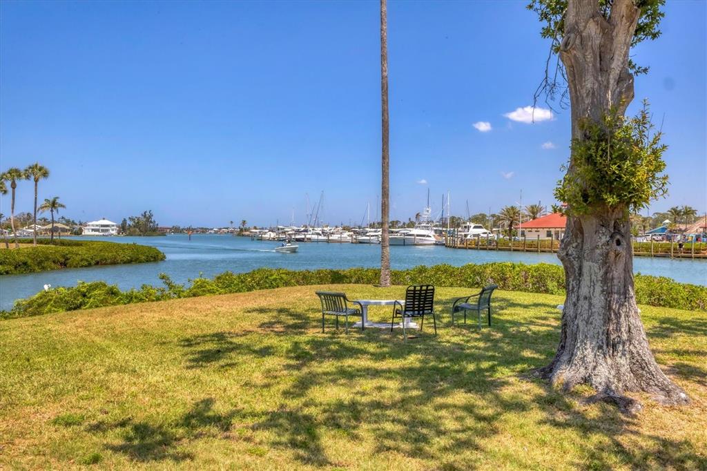 210 Santa Maria Street, Unit 248 Venice, FL 34285 - Photo 59 of 72 a swimming pool with outdoor seating and yard