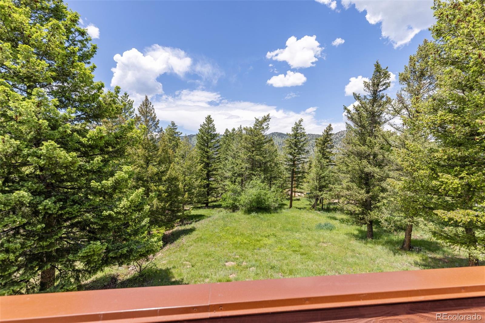 173 Silver Cloud Lane Boulder, CO 80302 - Photo 15 of 43 a view of a yard with flower plant