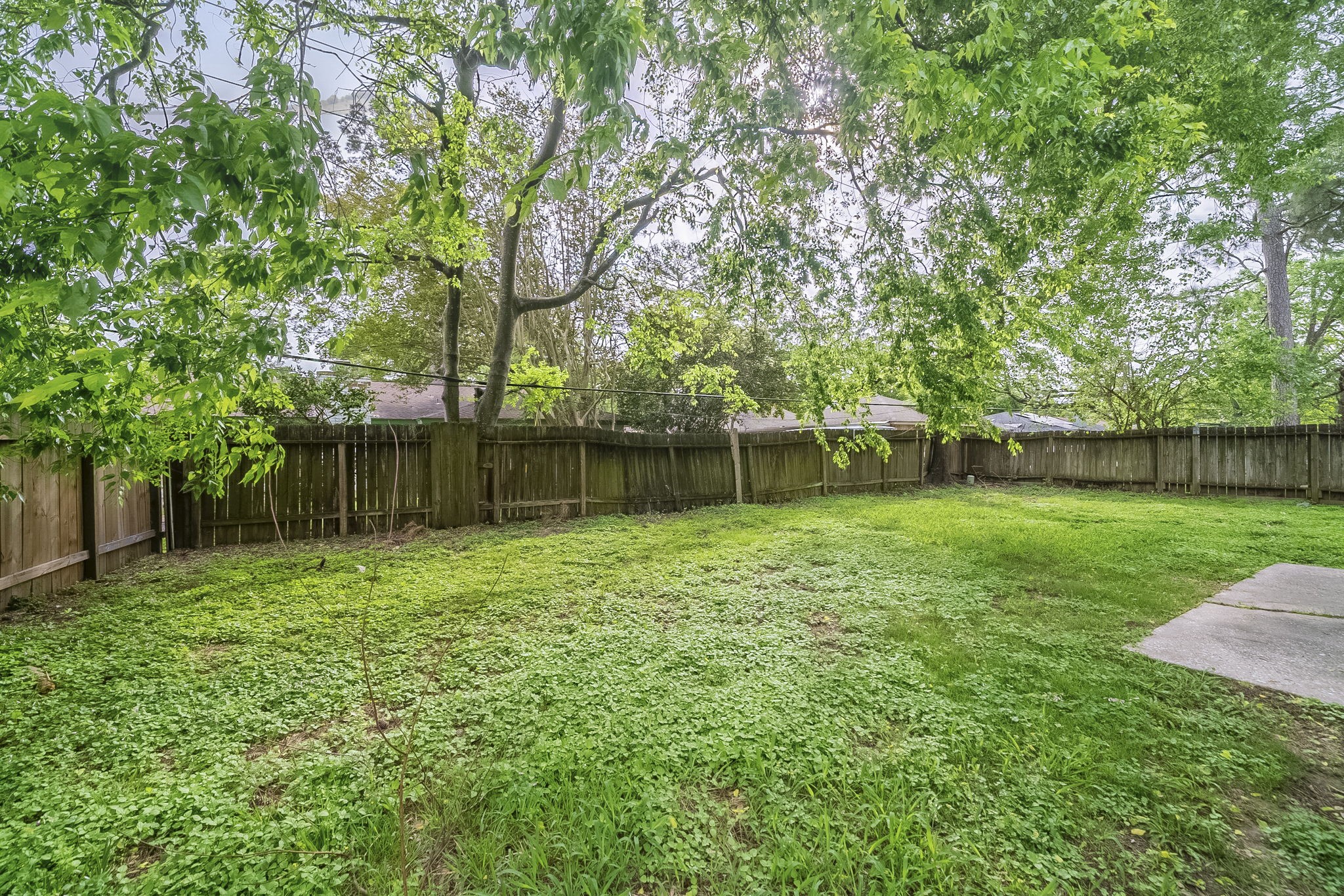 4127 Adonis Drive Spring, TX 77373 - Photo 18 of 20 a backyard of a house with lots of plants and tree