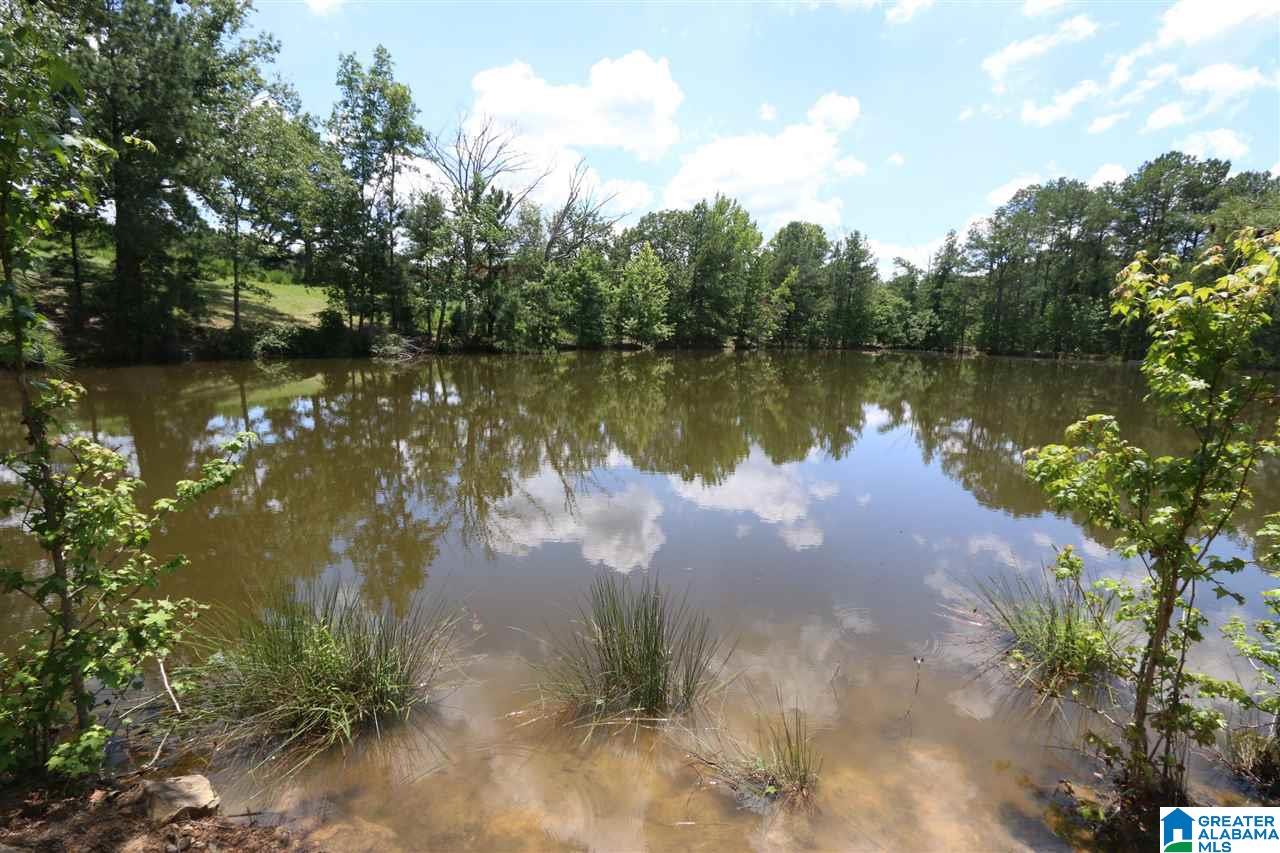 1900 Kiowa Road Remlap, AL 35133 - Photo 35 of 36