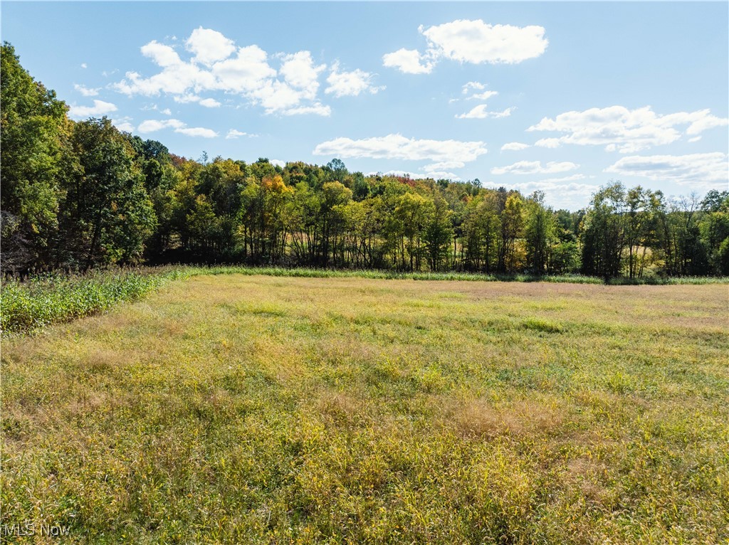 Moffett Road Lucas, OH 44843 - Photo 5 of 6 View of yard featuring a view of trees and a view of countryside