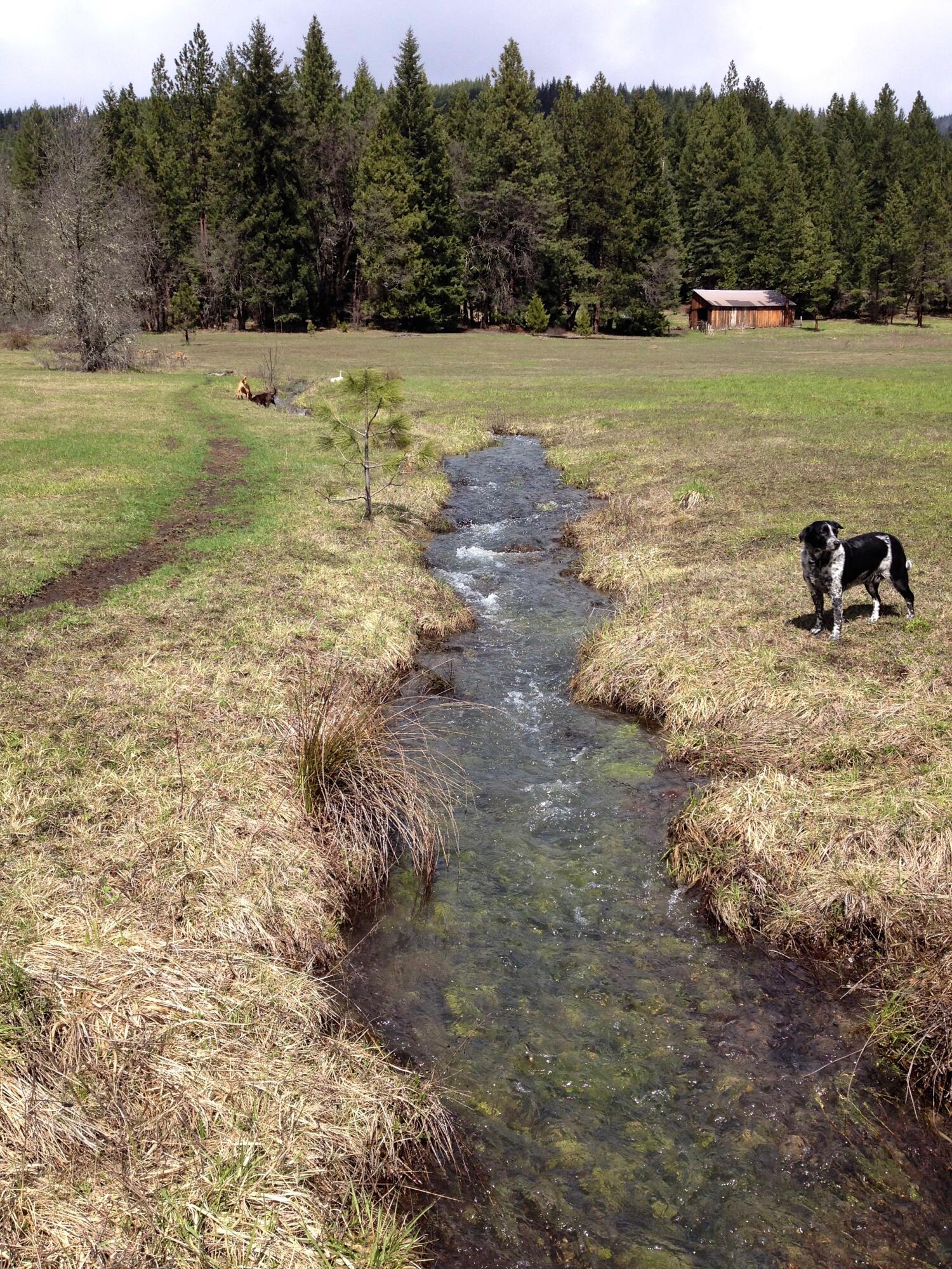 832 Ulrich Road Prospect, OR 97536 - Photo 27 of 28 Creek