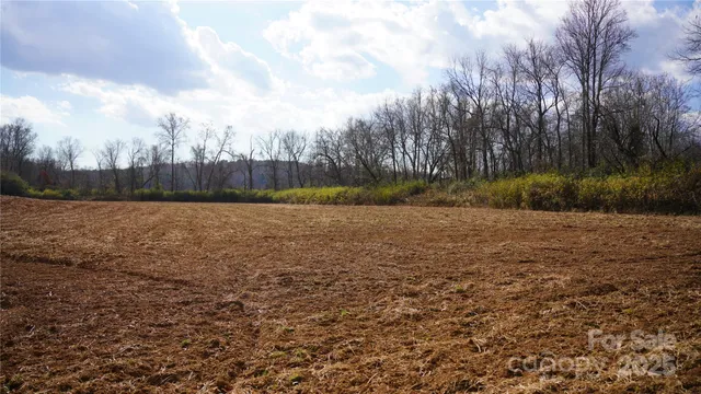 a view of a yard with trees
