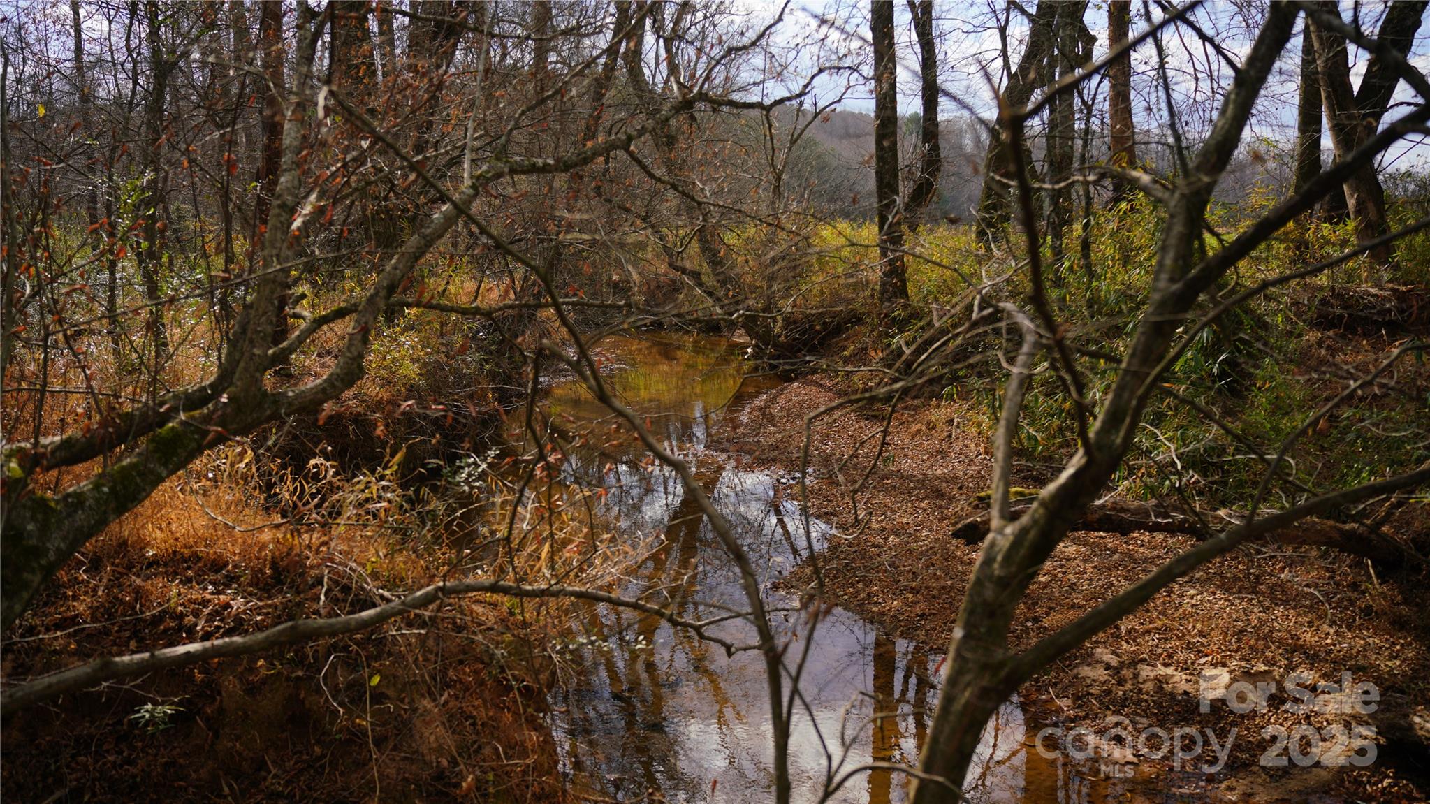 0 Old Shelby Road Vale, NC 28168 - Photo 12 of 48 a backyard of a house with lots of green space