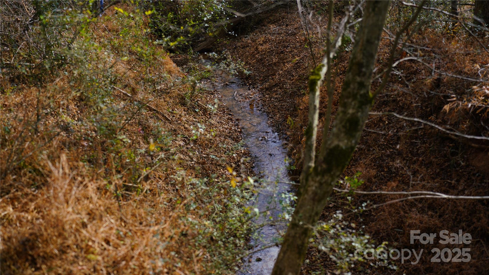 0 Old Shelby Road Vale, NC 28168 - Photo 14 of 48 a view of a dry yard