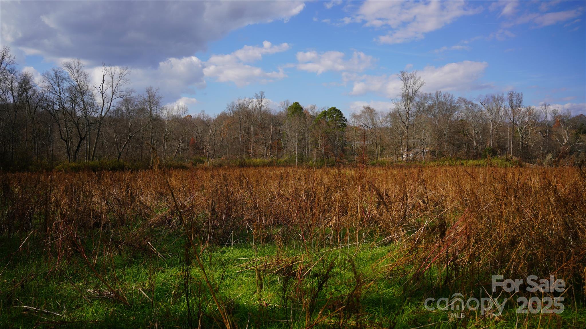 0 Old Shelby Road Vale, NC 28168 - Photo 18 of 48 a view of a lake with a yard and large trees