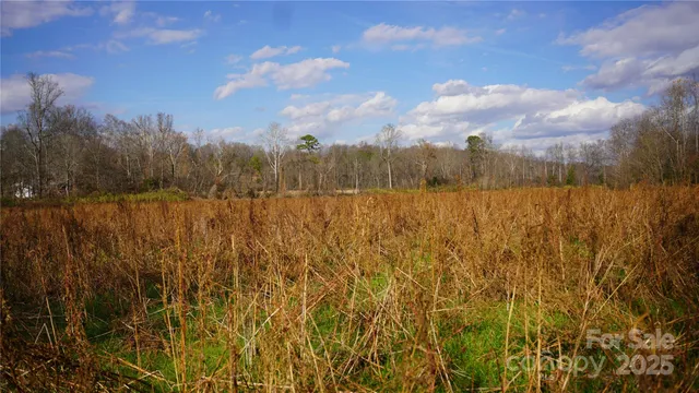 a backyard of a house with lots of green space and trees all around