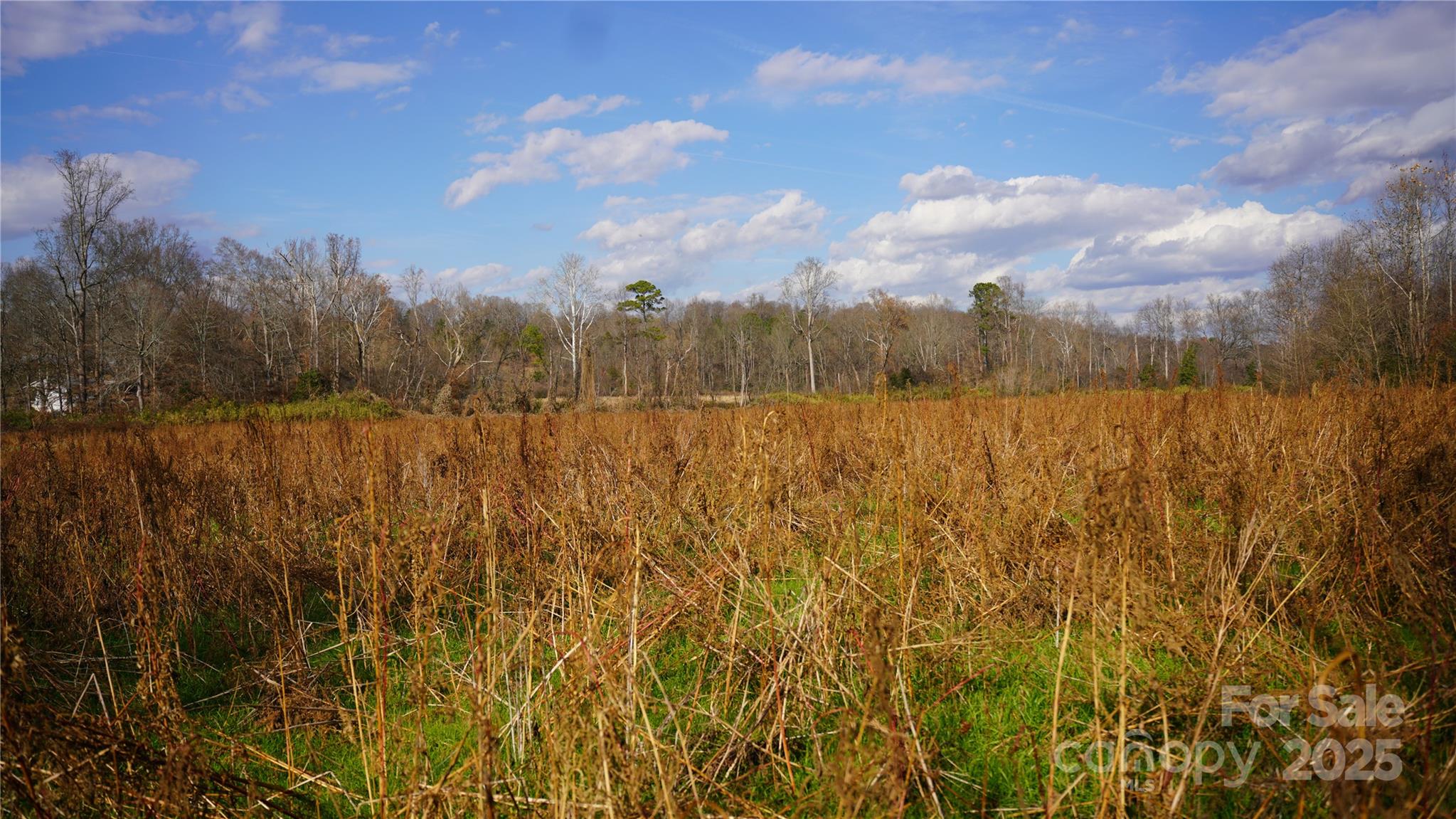 0 Old Shelby Road Vale, NC 28168 - Photo 19 of 48 a view of an outdoor space and a yard