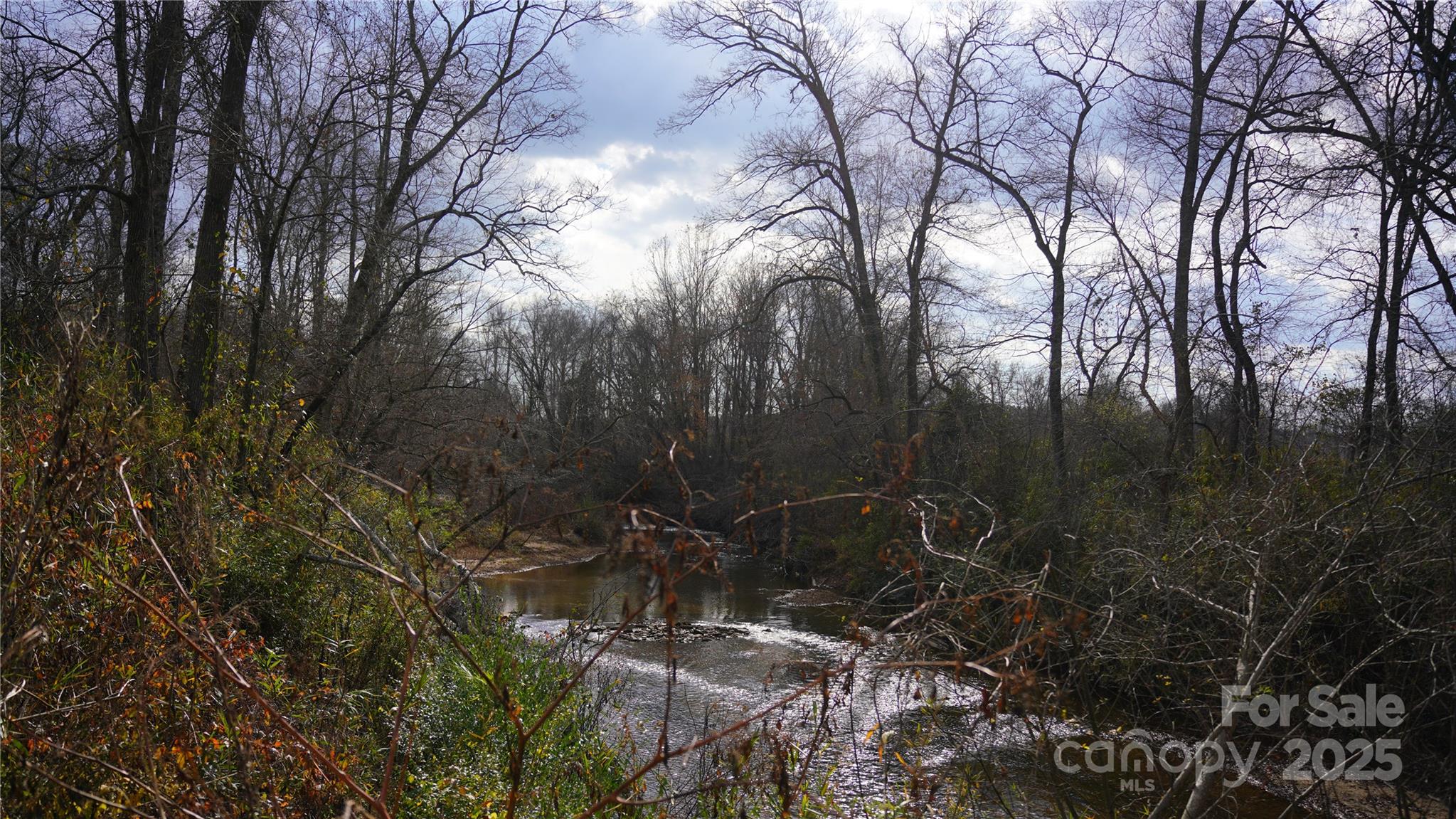 0 Old Shelby Road Vale, NC 28168 - Photo 20 of 48 a backyard of a house with lots of green space and trees all around
