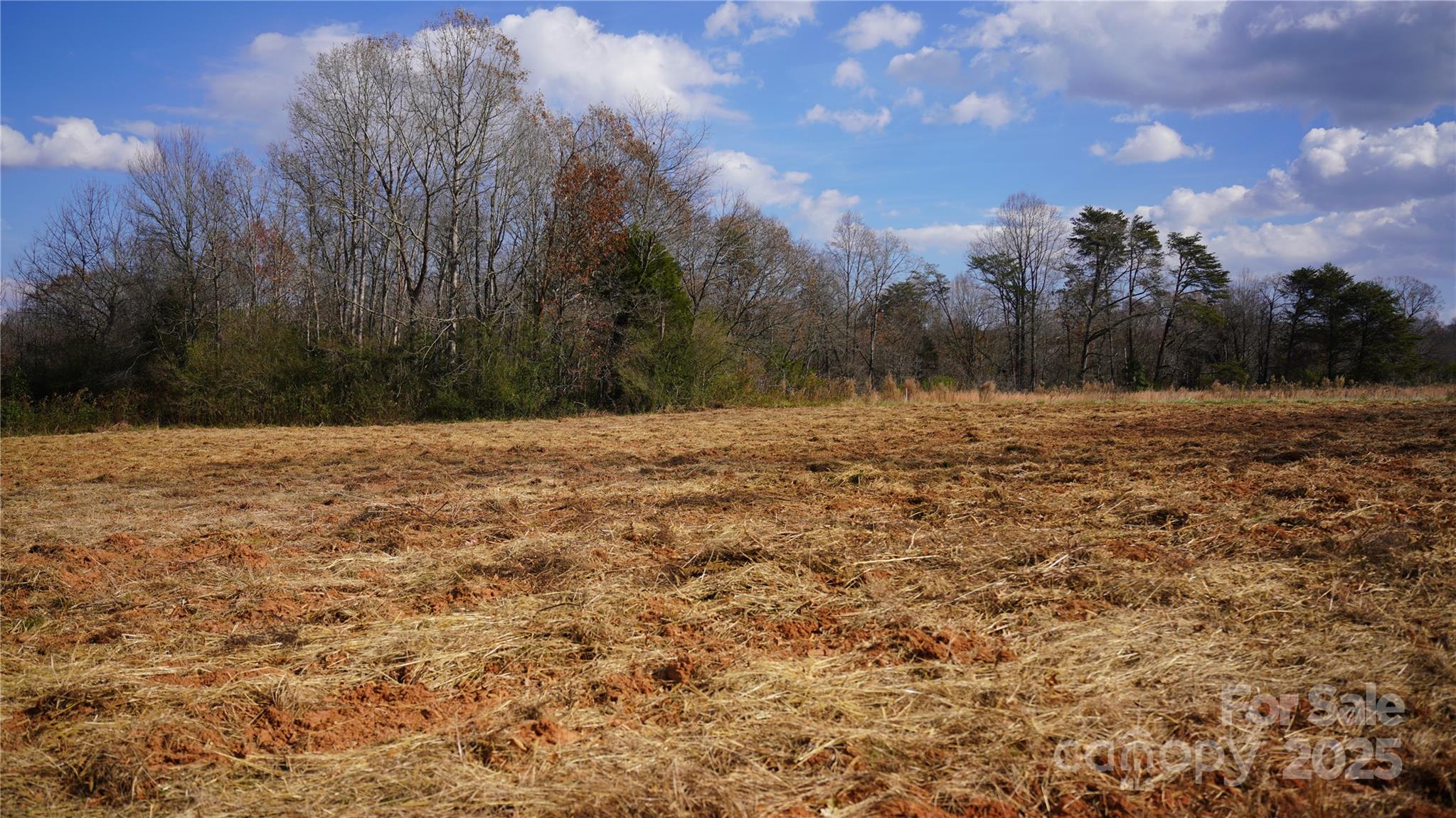 0 Old Shelby Road Vale, NC 28168 - Photo 2 of 48 a view of empty room with trees