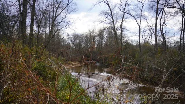 a view of mountain with tall trees