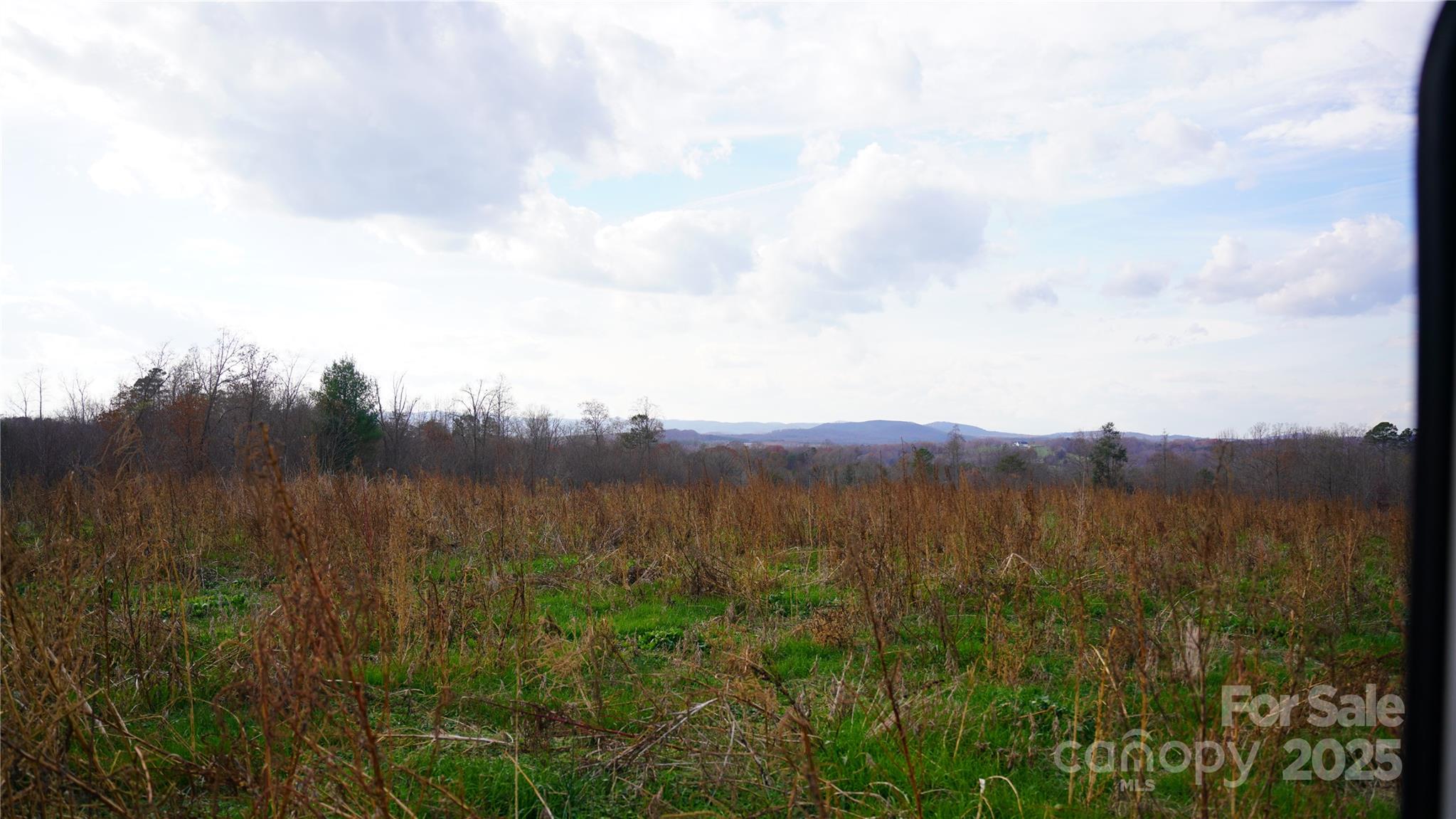 0 Old Shelby Road Vale, NC 28168 - Photo 22 of 48 a view of mountain with tall trees