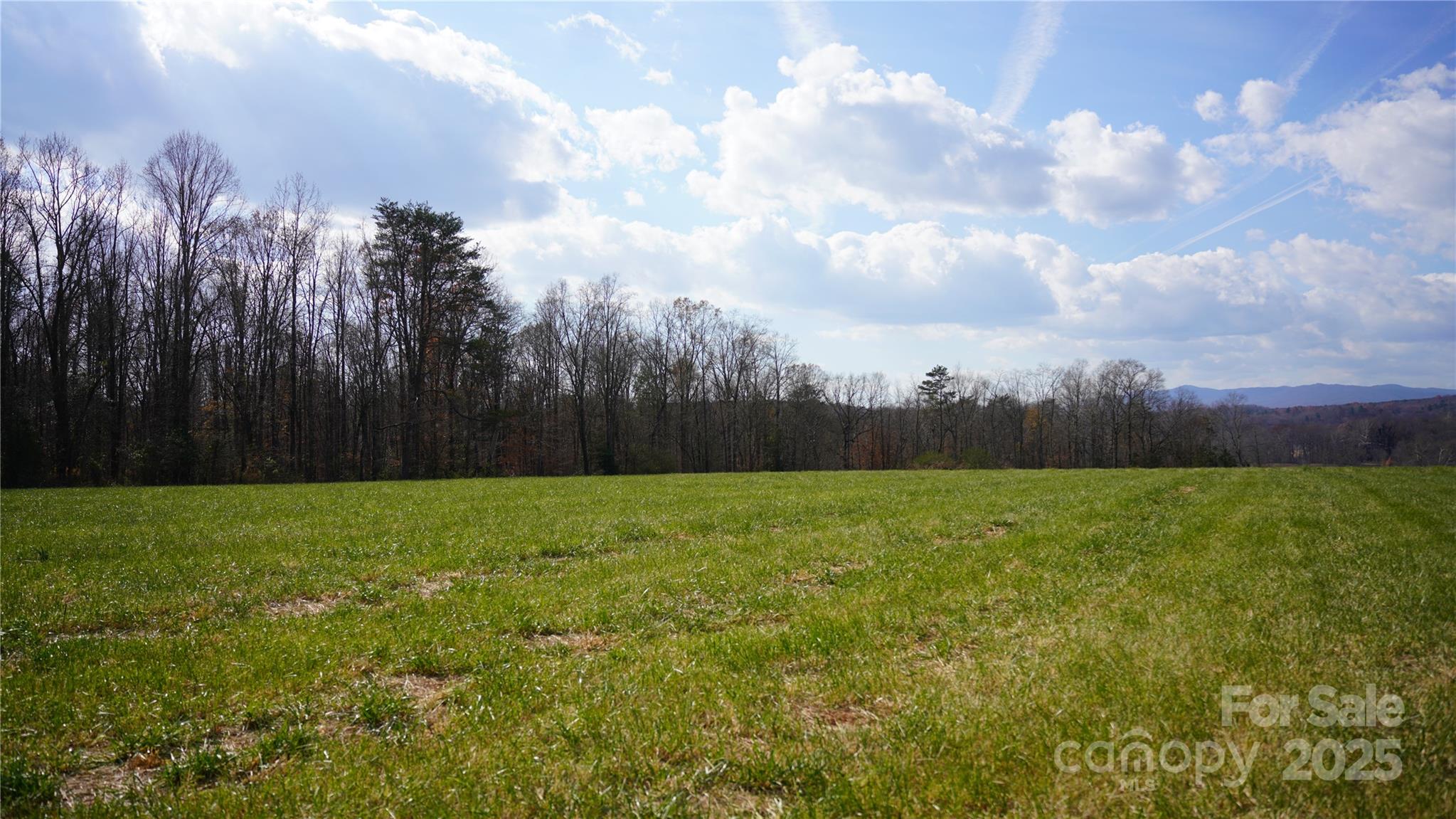 0 Old Shelby Road Vale, NC 28168 - Photo 3 of 48 a view of a yard with an tree