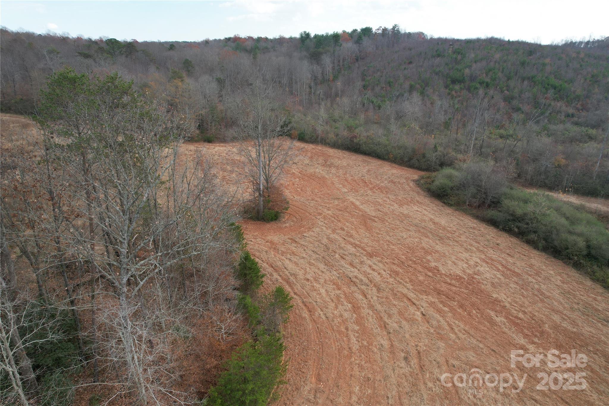 0 Old Shelby Road Vale, NC 28168 - Photo 32 of 48 a view of a forest with a mountain