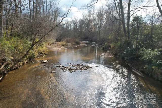 a view of a yard with trees