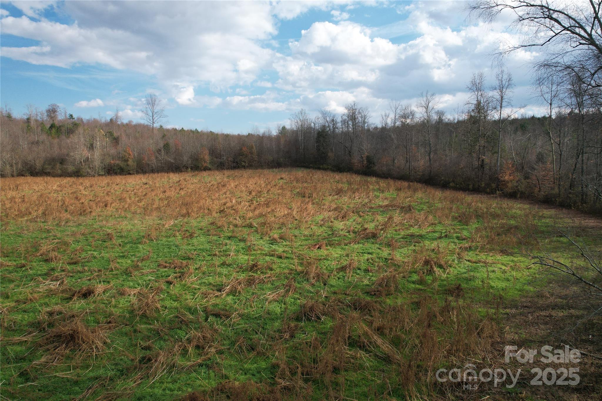 0 Old Shelby Road Vale, NC 28168 - Photo 37 of 48 a view of a yard