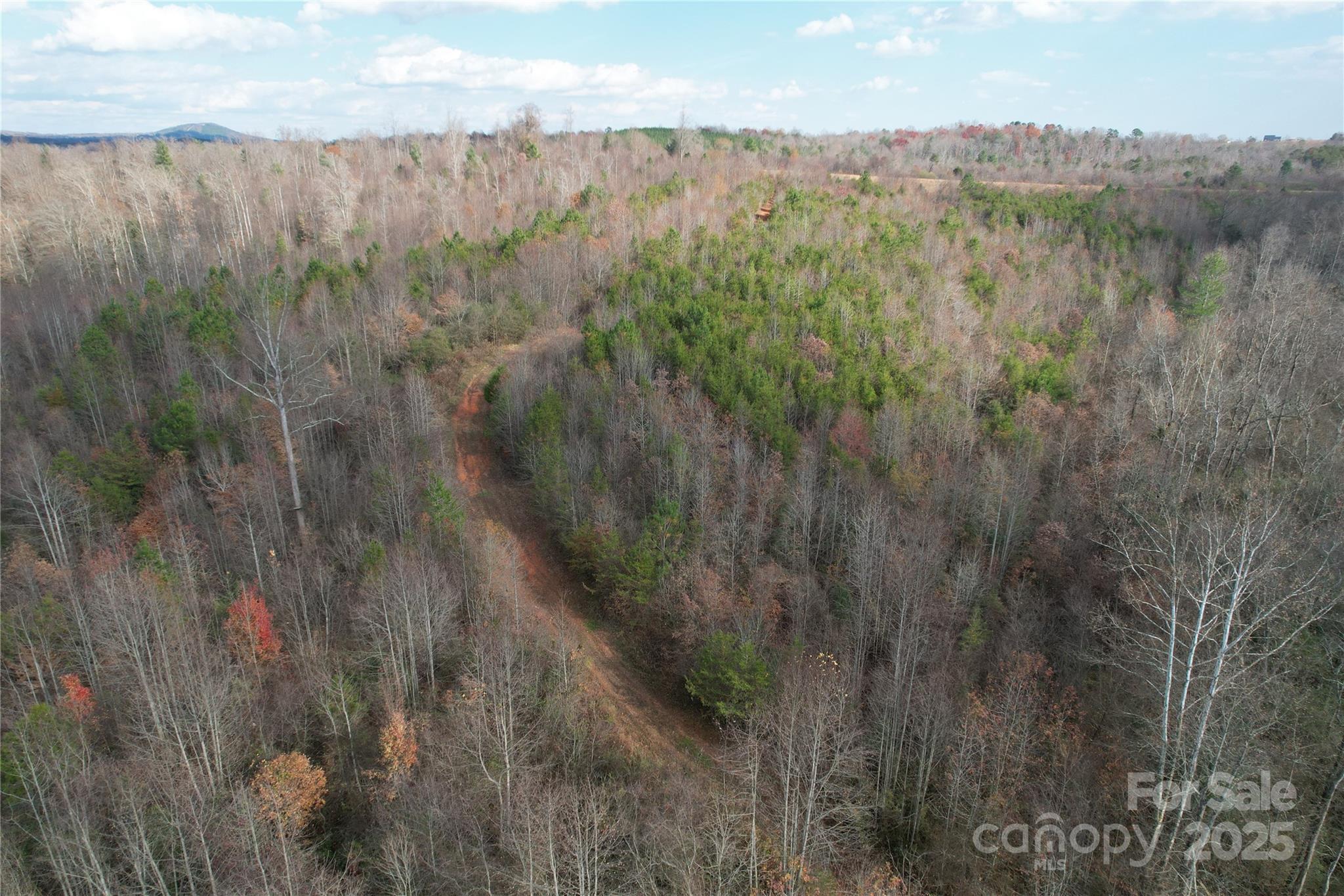 0 Old Shelby Road Vale, NC 28168 - Photo 38 of 48 a view of a lush green forest with trees and houses