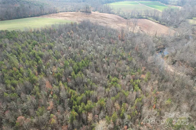 a view of a lake with a mountain and trees in the background