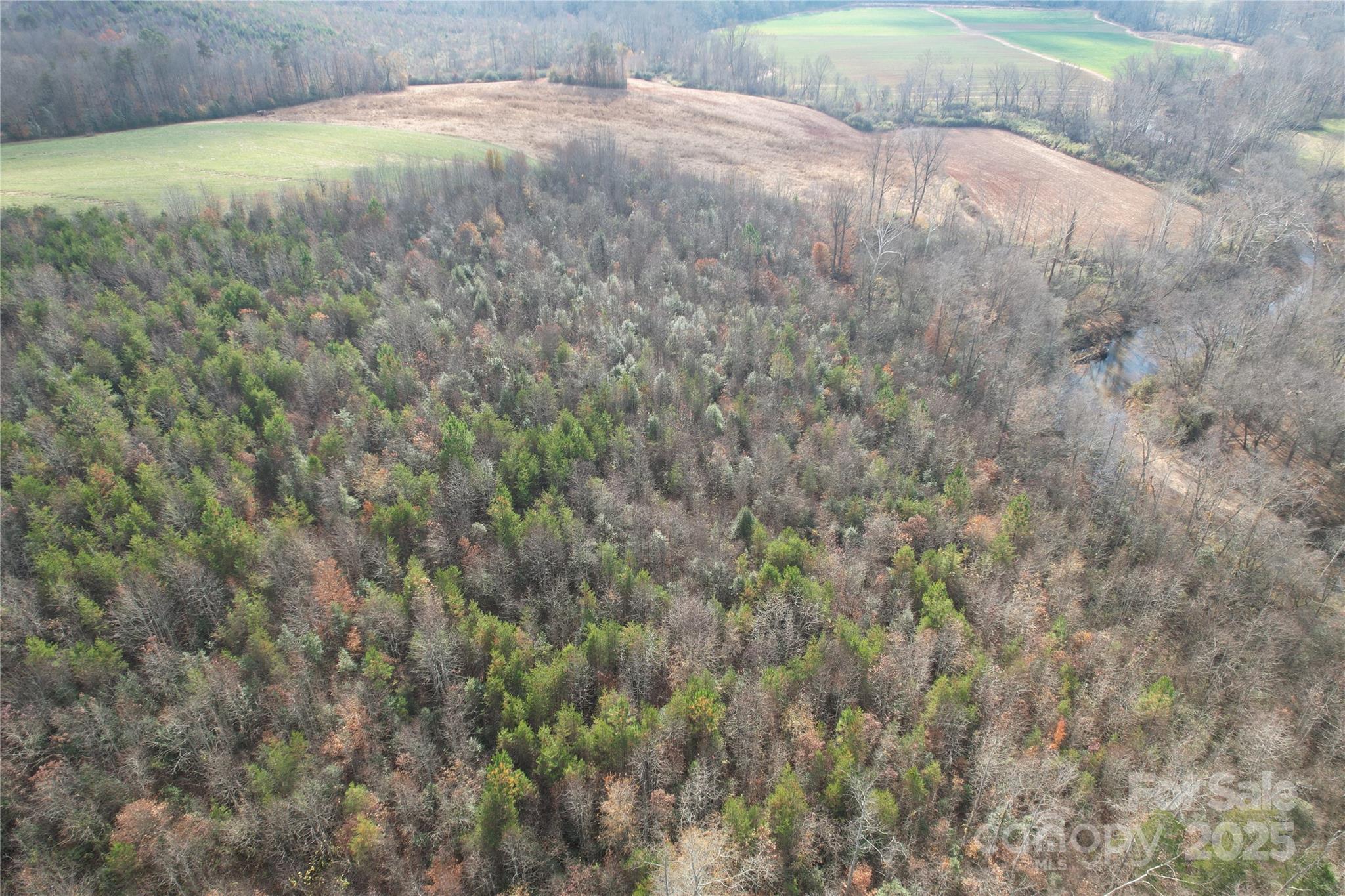 0 Old Shelby Road Vale, NC 28168 - Photo 40 of 48 a view of a backyard of the house