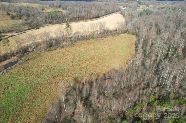 a view of a dry yard