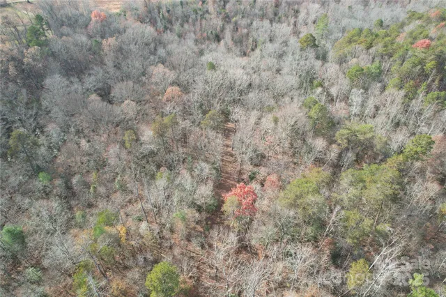 a view of beach and tree