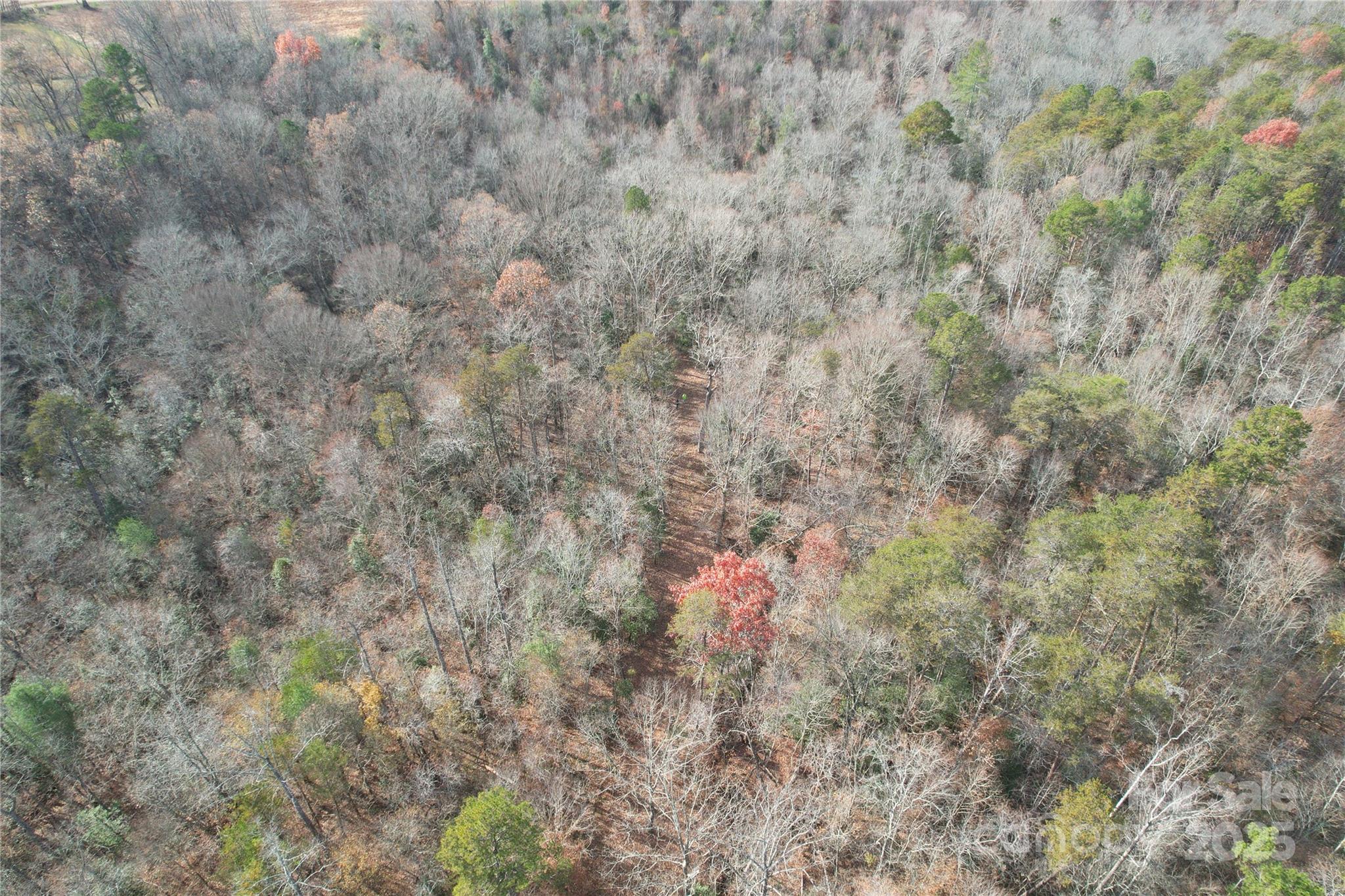 0 Old Shelby Road Vale, NC 28168 - Photo 46 of 48 a view of a dry yard