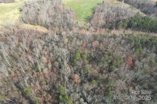 a view of a yard with wooden fence