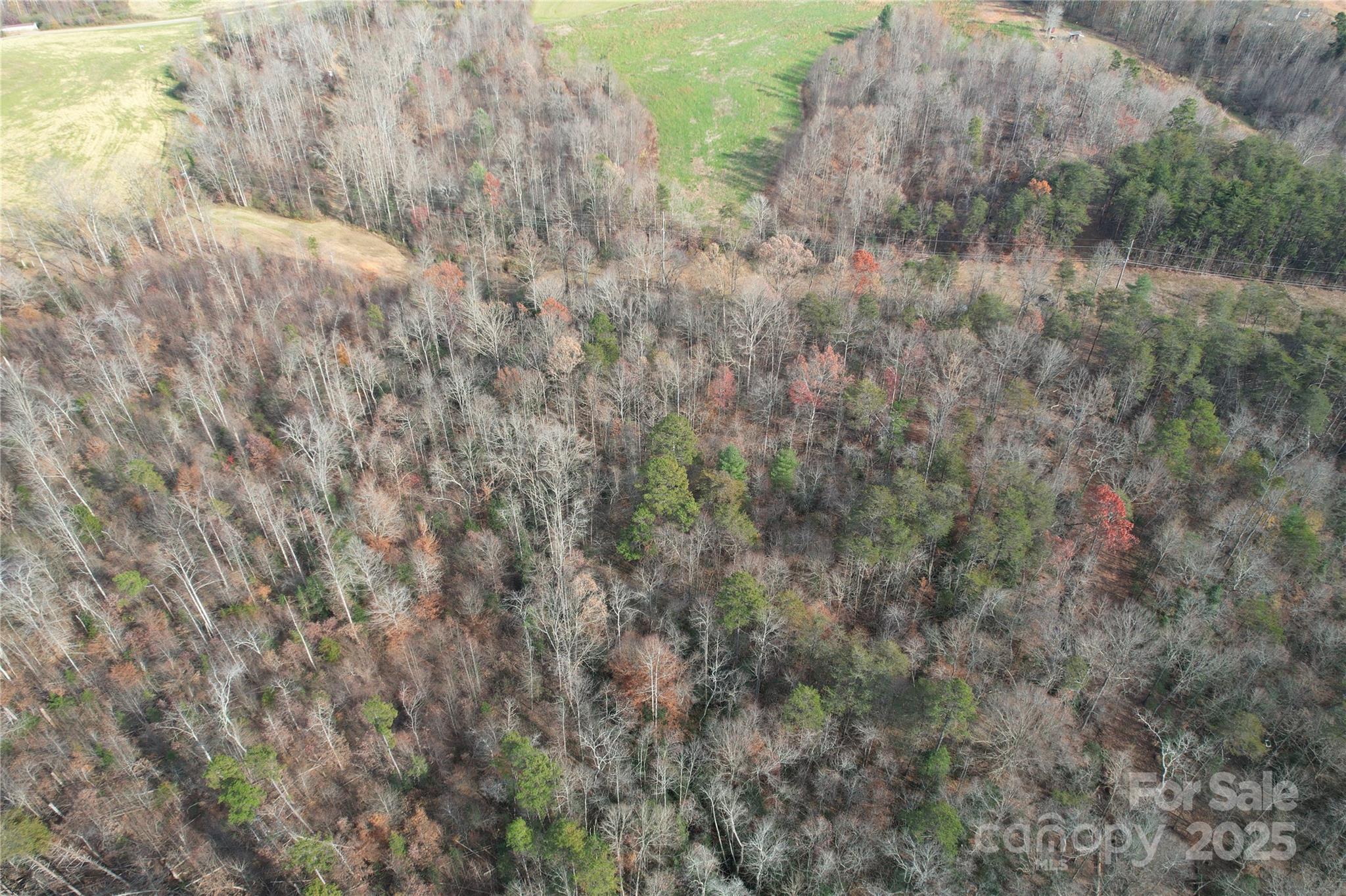 0 Old Shelby Road Vale, NC 28168 - Photo 47 of 48 a view of beach and tree