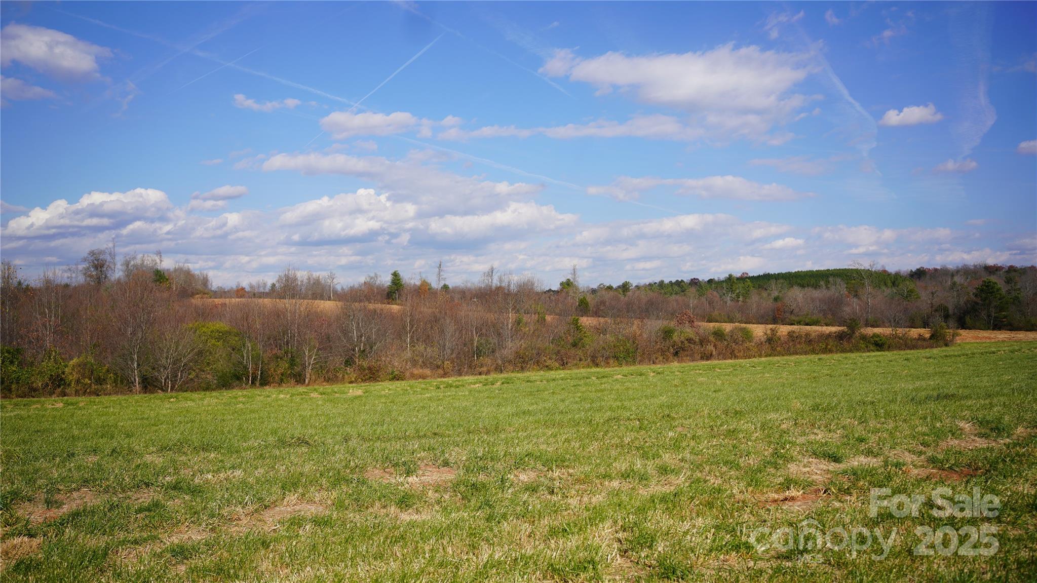 0 Old Shelby Road Vale, NC 28168 - Photo 6 of 48 a view of grassy field with mountain