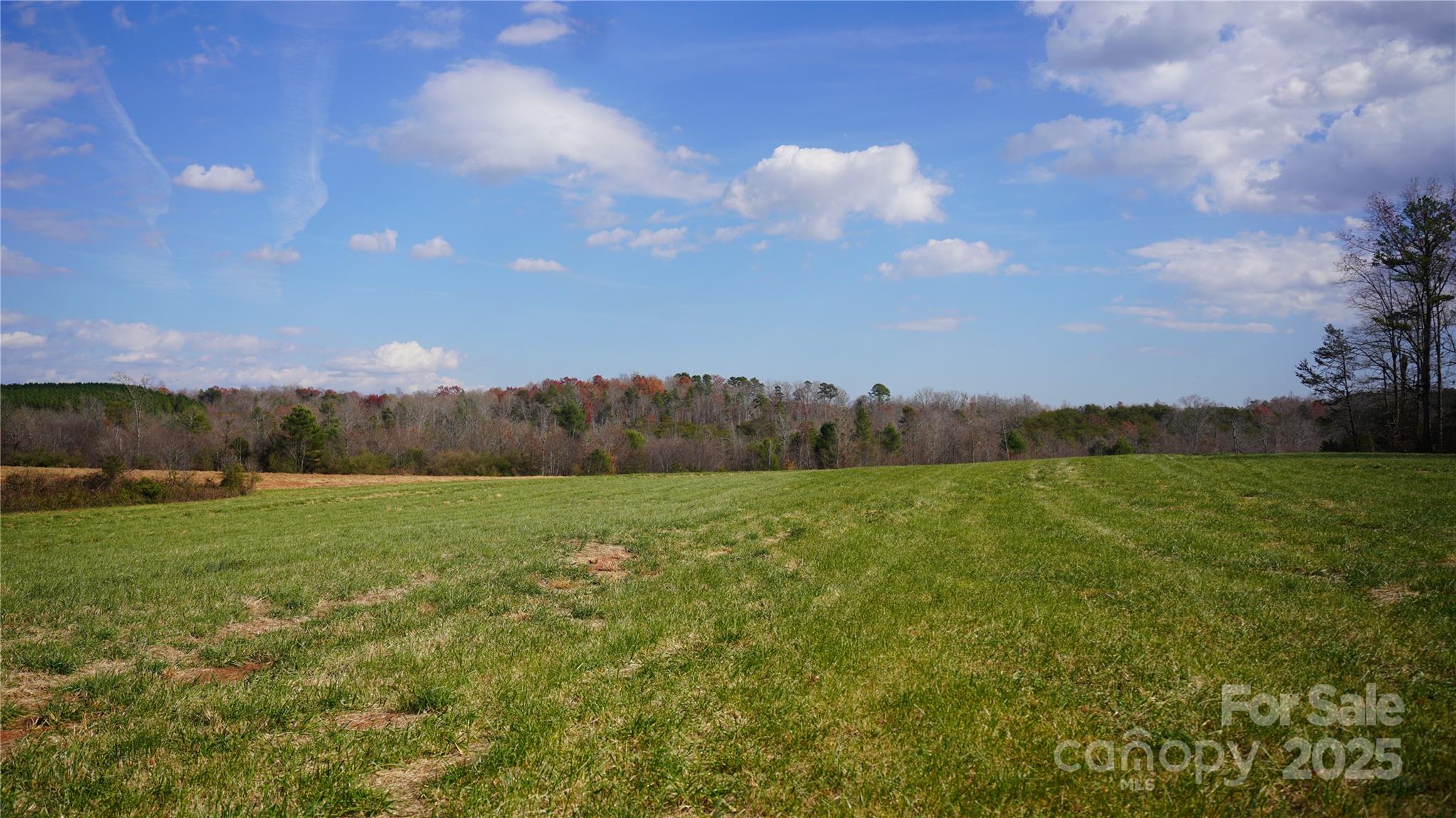 0 Old Shelby Road Vale, NC 28168 - Photo 7 of 48 a view of an outdoor space and a yard