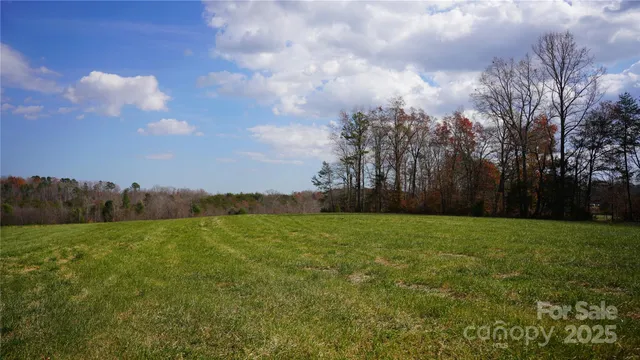 a view of a field of grass and trees