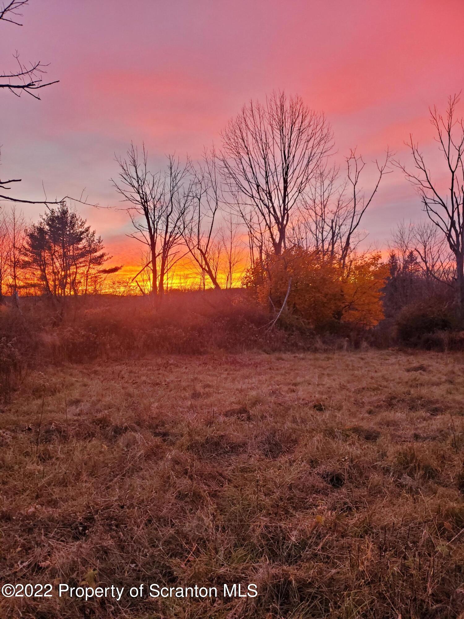 Lot 04 Maple Lake Rd Spring Brook Moscow, PA 18444 - Photo 2 of 9 a view of yard with trees