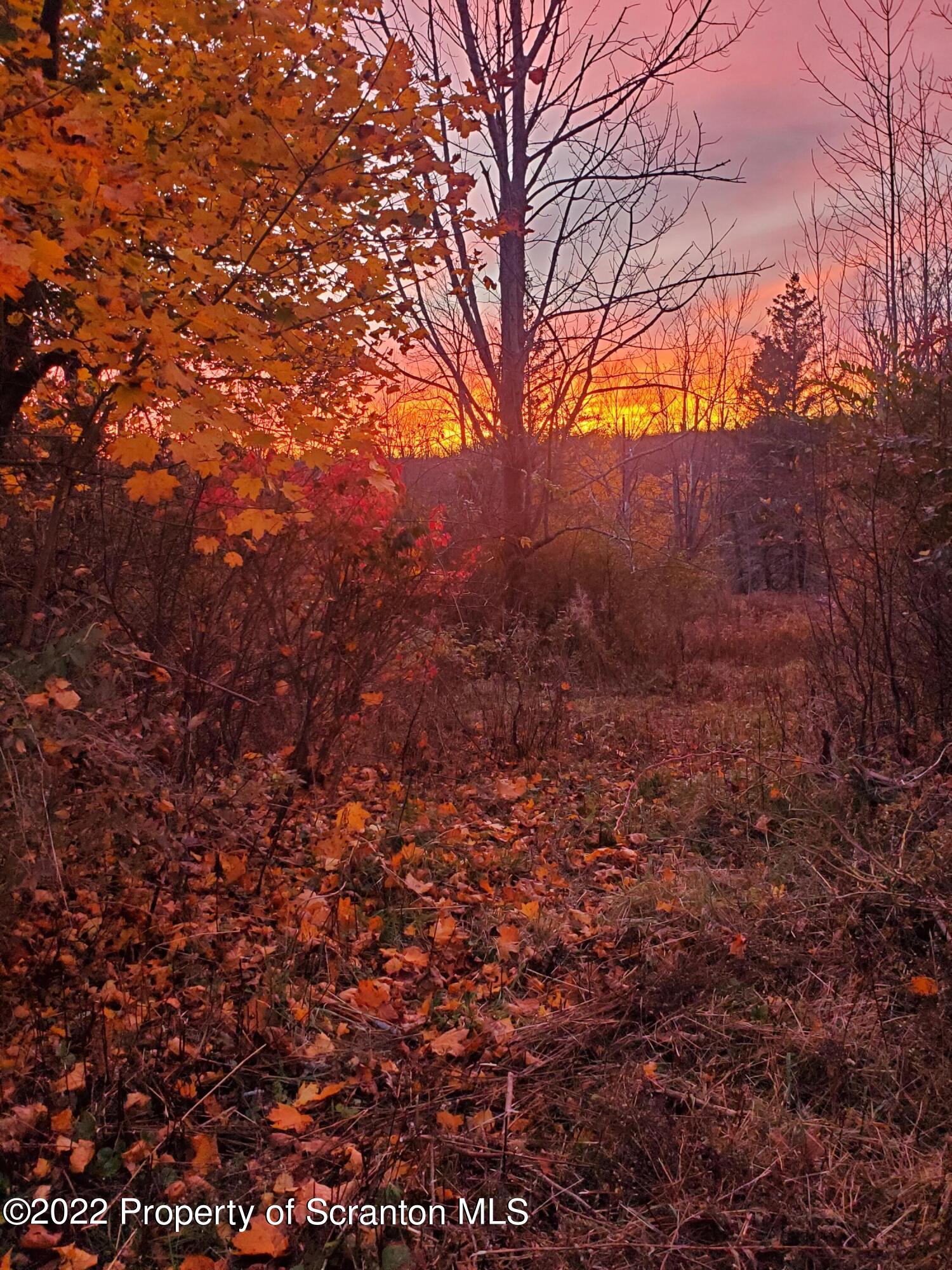Lot 04 Maple Lake Rd Spring Brook Moscow, PA 18444 - Photo 4 of 9 a view of mountain covered with trees