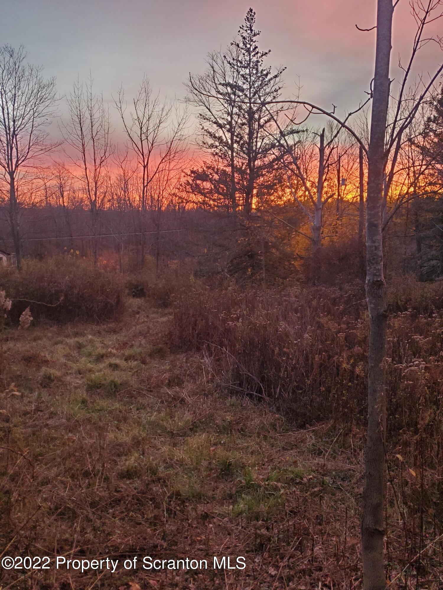 Lot 04 Maple Lake Rd Spring Brook Moscow, PA 18444 - Photo 5 of 9 a view of a yard