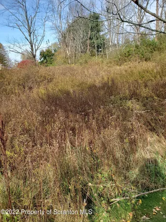 a view of yard with green space