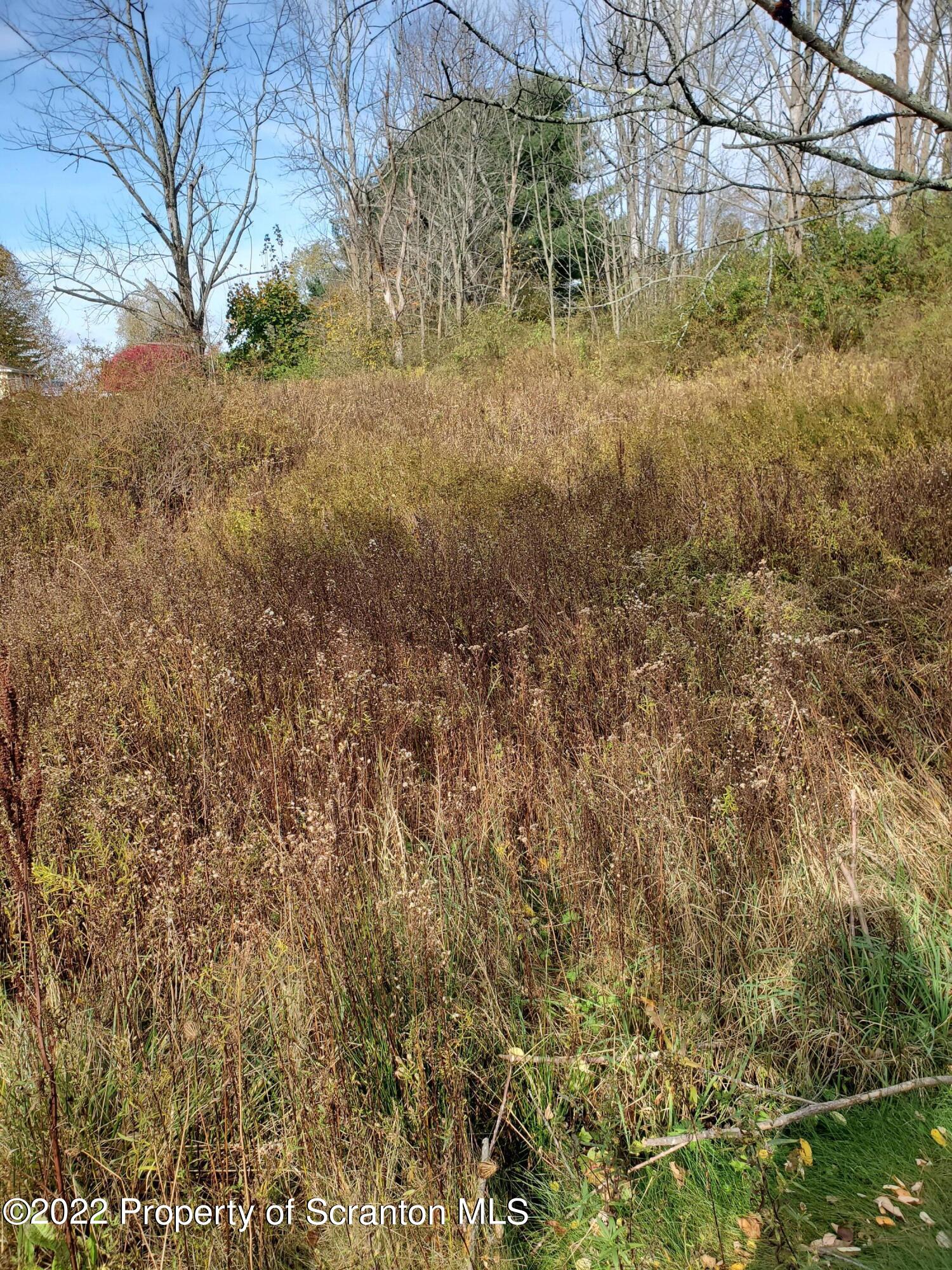 Lot 04 Maple Lake Rd Spring Brook Moscow, PA 18444 - Photo 6 of 9 a view of yard with green space