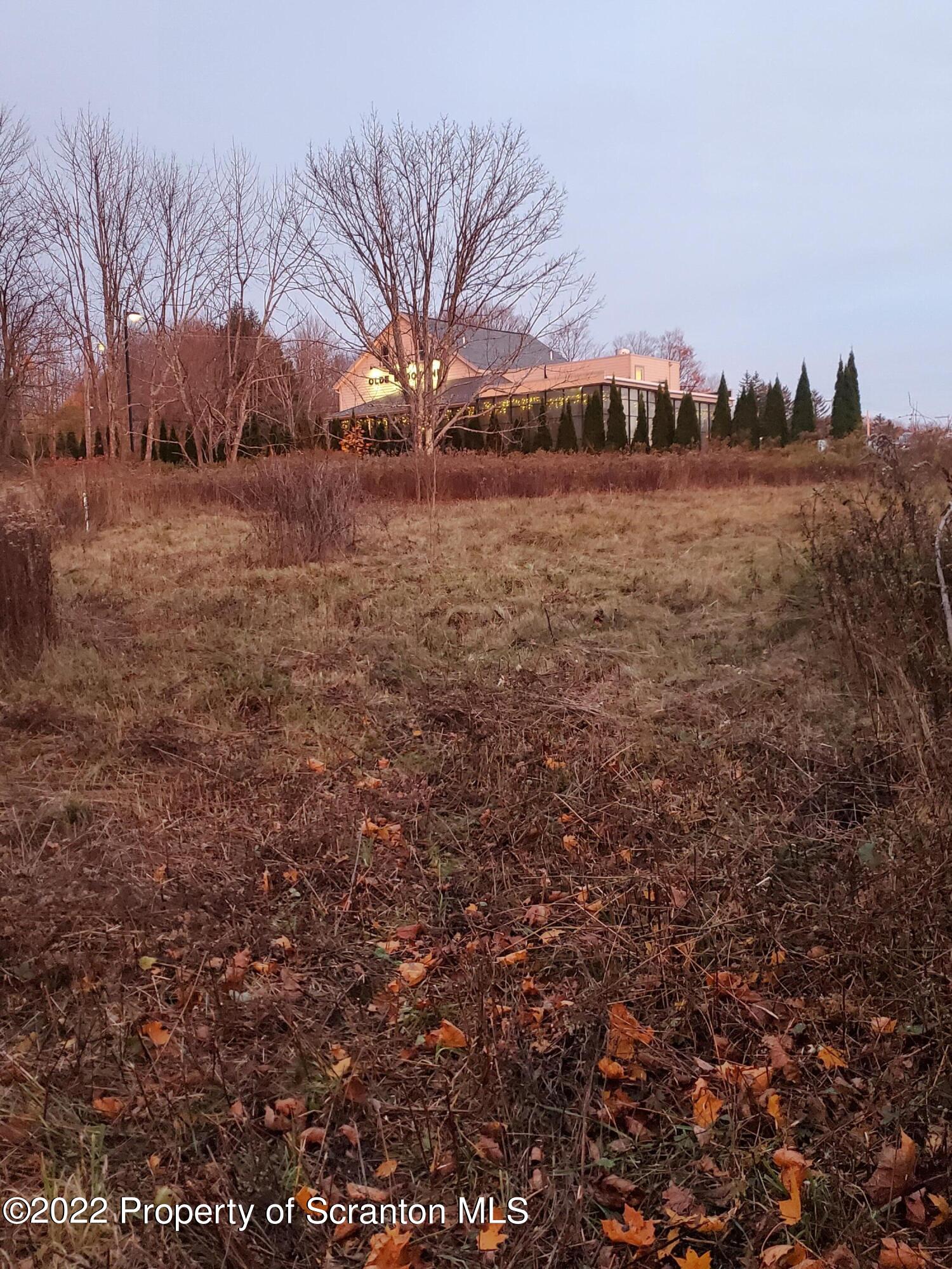 Lot 04 Maple Lake Rd Spring Brook Moscow, PA 18444 - Photo 7 of 9 a view of lake view and trees