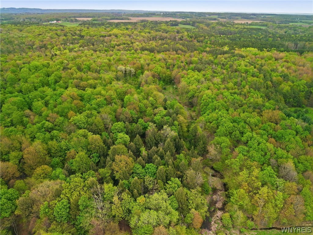 0 Genesee Road Lawtons, NY 14091 - Photo 12 of 34