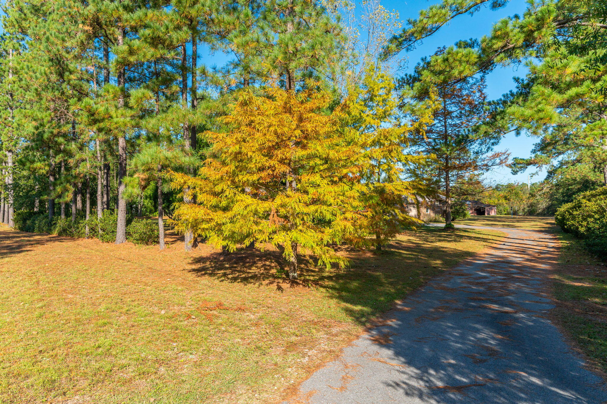 604 Andy Nowling Road DeFuniak Springs, FL 32433 - Photo 17 of 45 38-web-or-mls-604 Andy Nowling Rd Exteri