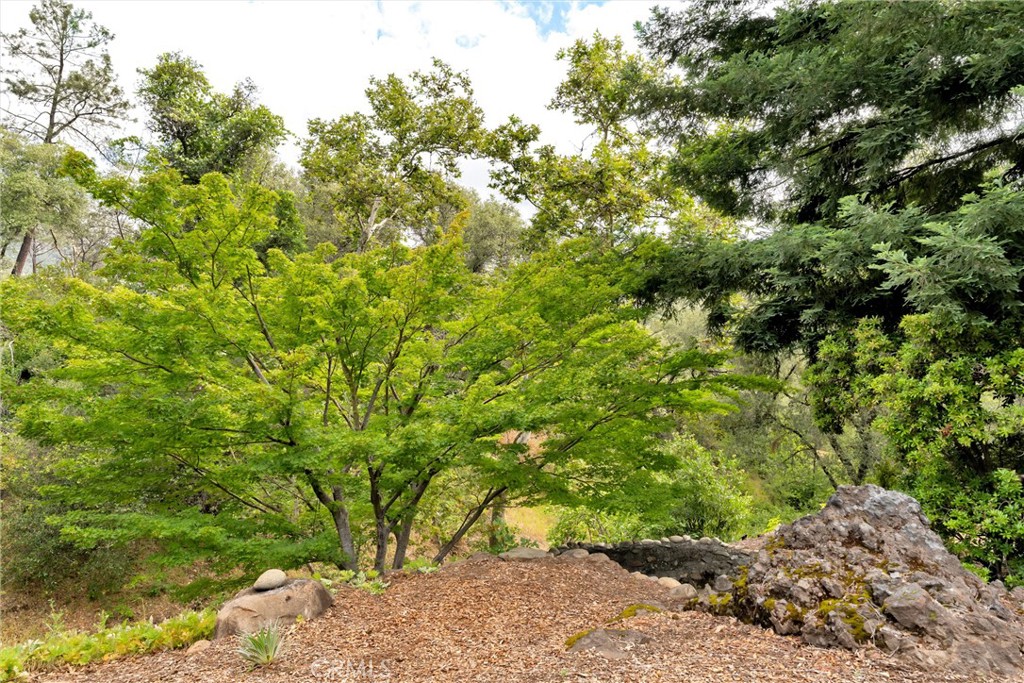 13411 Bean Flat Road Chico, CA 95928 - Photo 43 of 74