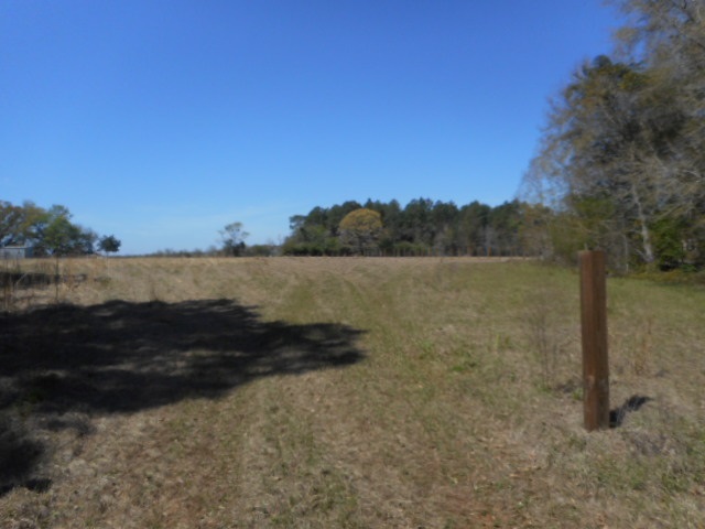 23597 North River Road Daphne, AL 36526 - Photo 3 of 5
