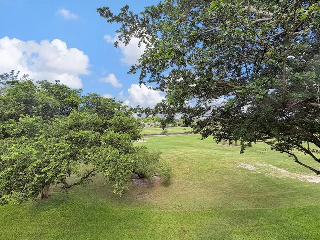 a view of a garden with an trees