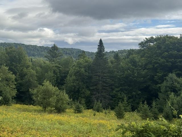 Shadow Lake Road Glover, VT 05839 - Photo 4 of 18 Gallery Image 4