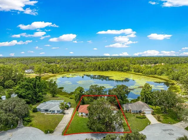 a view of a garden with a tree