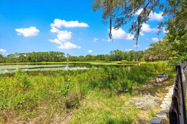 a white house with a big yard and large trees
