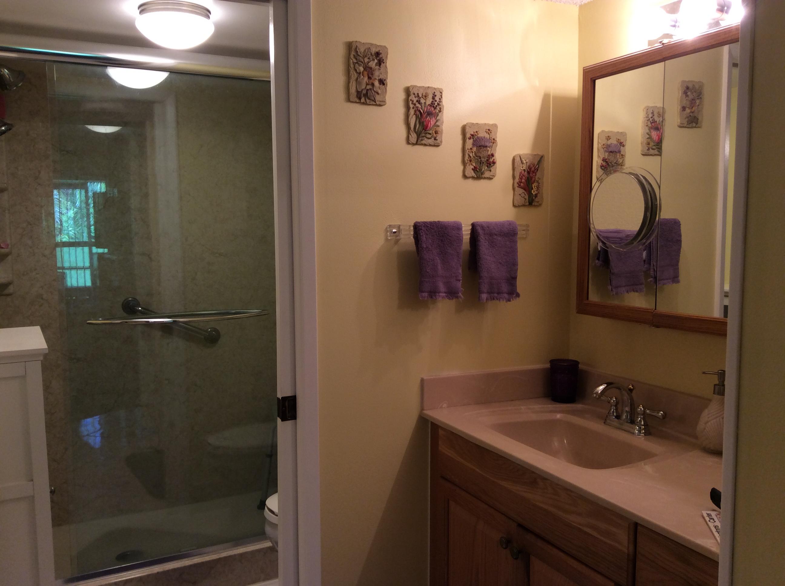 9095 Flynn Circle, Unit 3 Boca Raton, FL 33496 - Photo 11 of 21 Master Bathroom