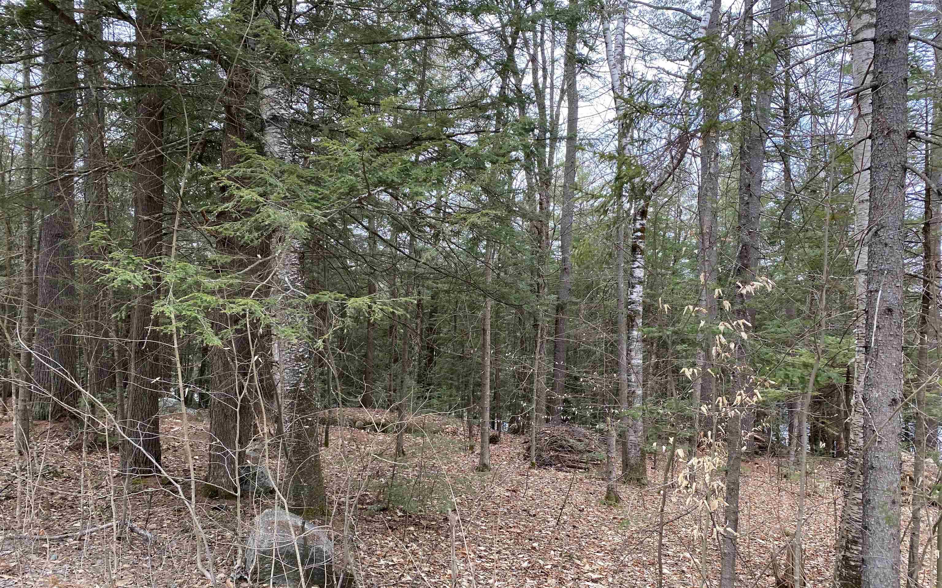 53 Anderson Pond Road Grantham, NH 03753 - Photo 3 of 12