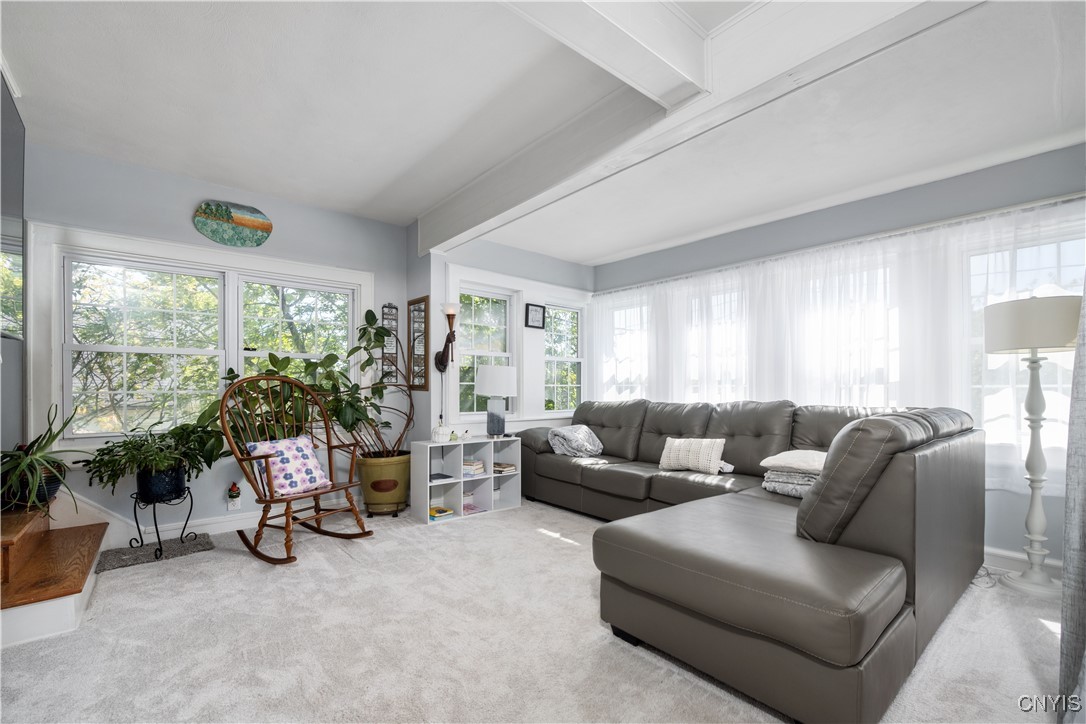 327 Vann Street Syracuse, NY 13206 - Photo 9 of 45 Main Level Living Room