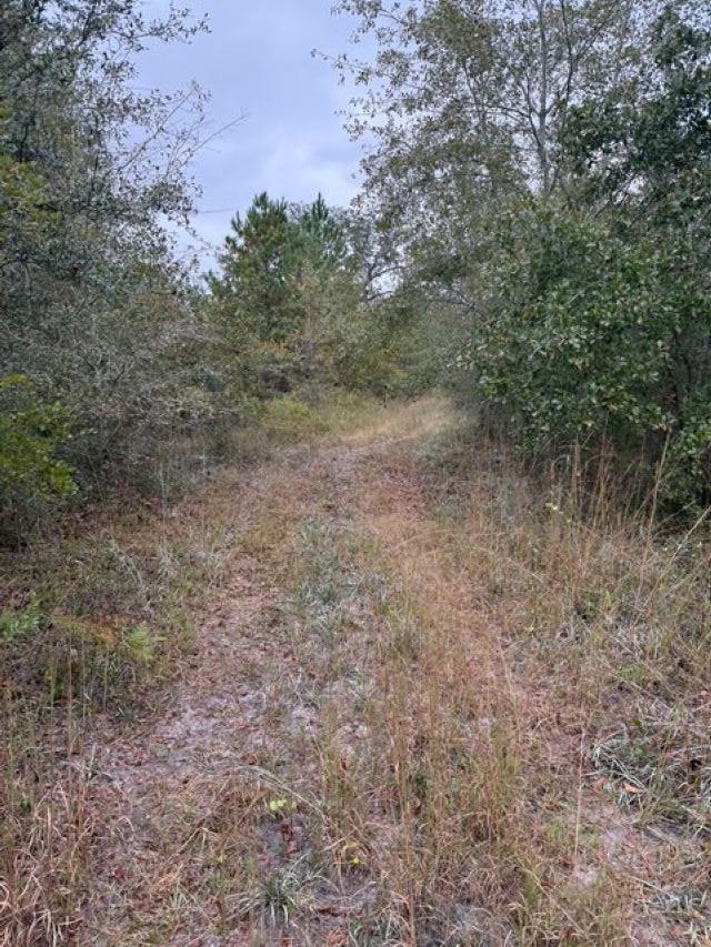 4900 Northwest Flowers Road Madison, FL 32340 - Photo 18 of 30