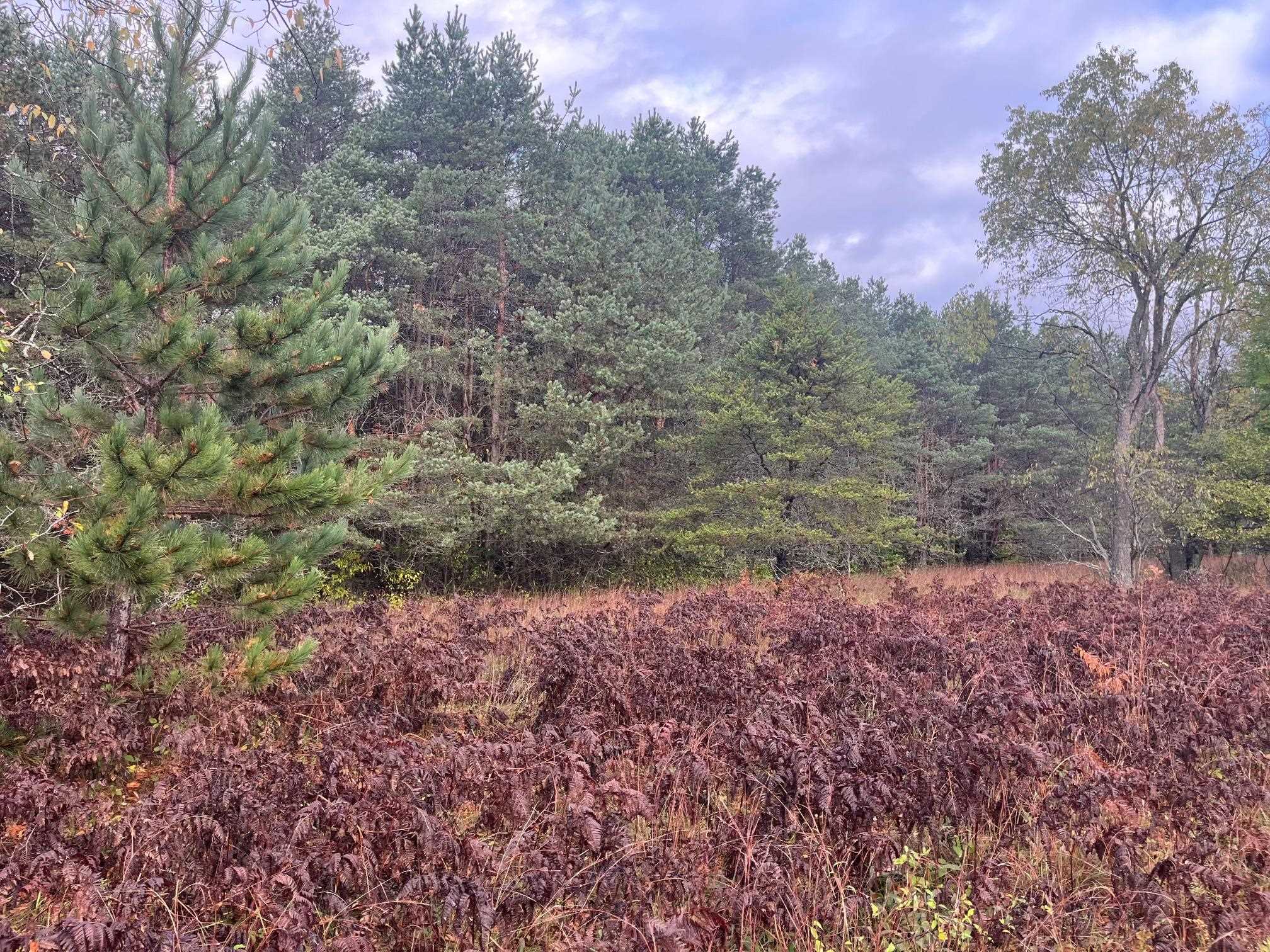 0 West 4 Road Buckley, MI 49620 - Photo 6 of 10